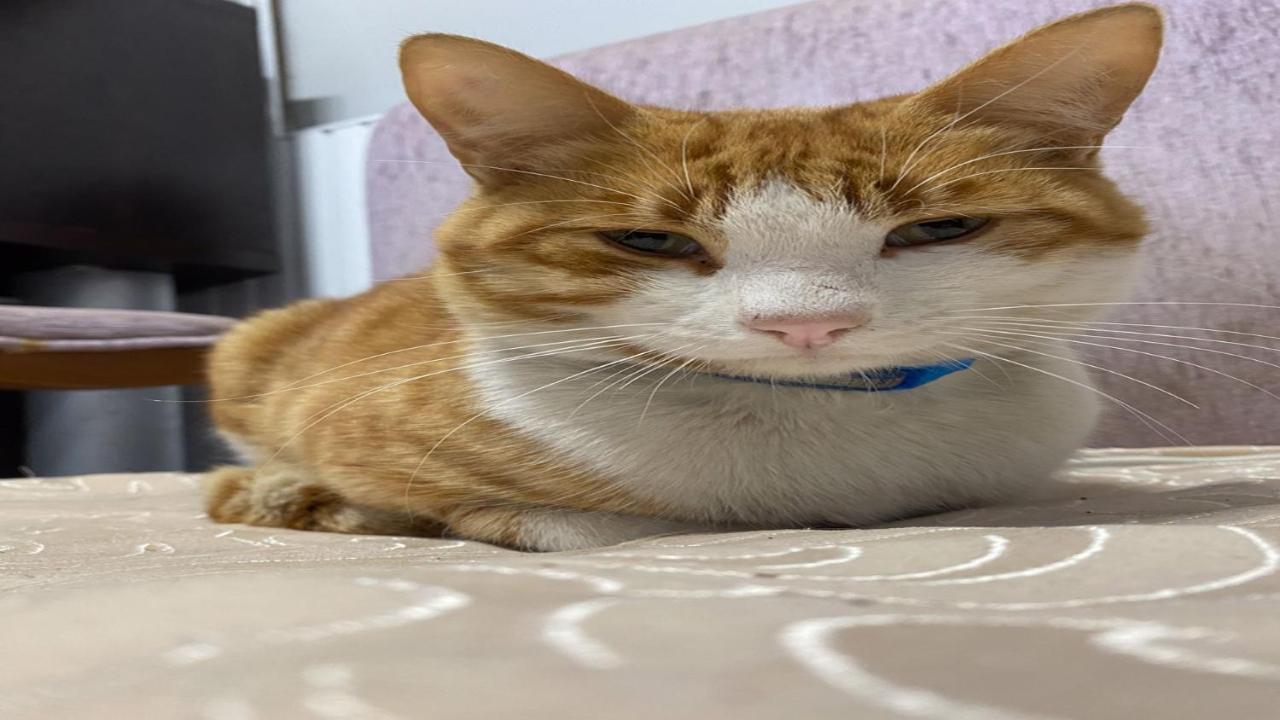 Cityhub アンタルヤ エクステリア 写真